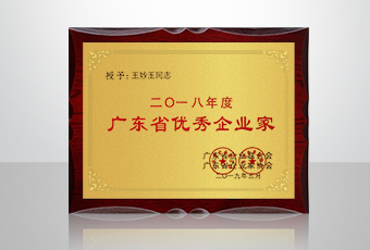 喜讯│开云在线客服,集团总裁王妙玉再获年度广东省优秀企业家荣誉